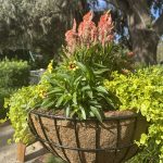 Fall Into the Gardens