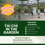 Tai Chi in the Garden